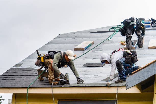 Professional Storm Damage Roof Repair technician working in Mystic, IA